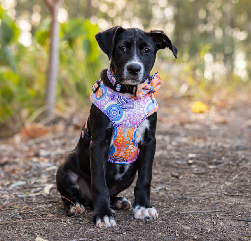 View of FOREVER HOMES – Yarn Marketplace